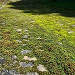 Rittergut/gutshaus Grossgestewitz Naumburg (Saale)