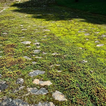 Rittergut/gutshaus Grossgestewitz Naumburg (Saale)