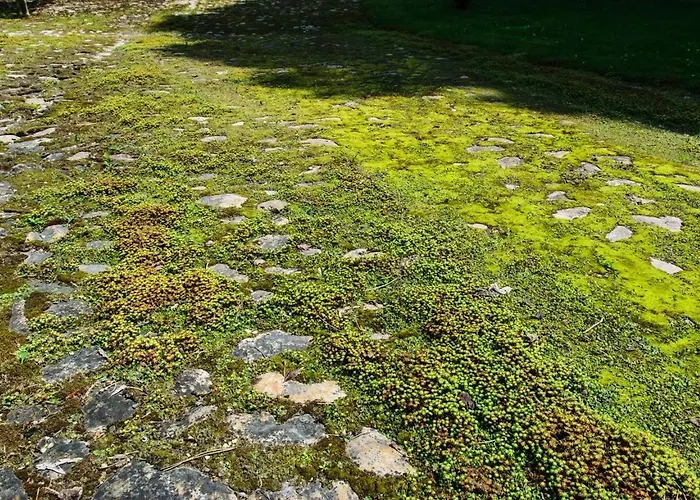 Rittergut/gutshaus Grossgestewitz Naumburg (Saale)