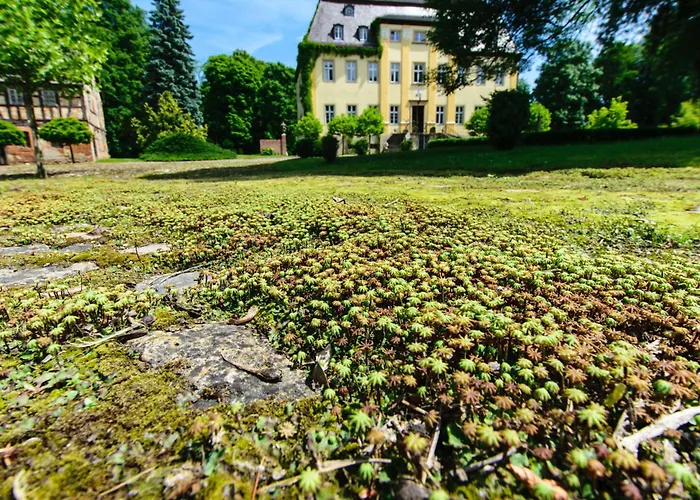 Rittergut/gutshaus Grossgestewitz Apartman